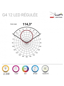 Ampoules LED basse tension 12 V G5,3