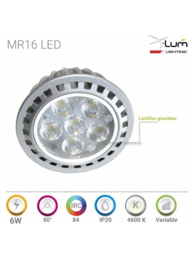 Ampoule LED MR16 X-Lum-Lighting 6W