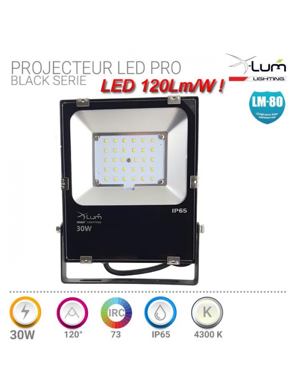 PROJECTEUR 30W PRO BLACK 3680LM 4K 110° 12-24V DC IP65 Gar: 2ans