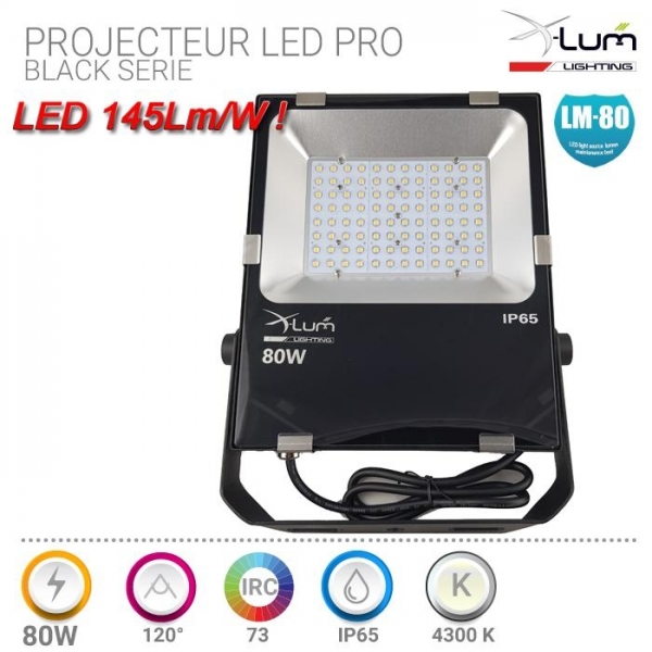 Projecteur Pro X-Lum-Lighting 80W