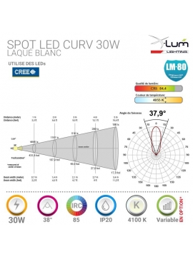 Spot LED 30W plafond Pro haute puissance.