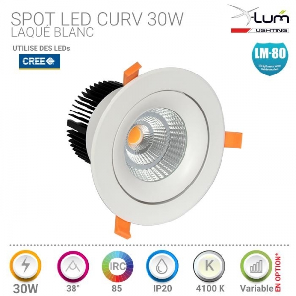 Spot LED 30W plafond Pro haute puissance.