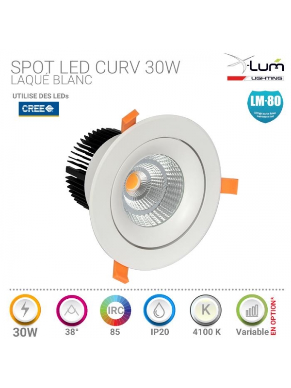 Spot LED 30W plafond Pro haute puissance.