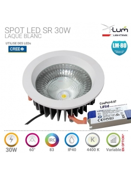 Spot encastré magasin 30W Cree Distributeur Pro