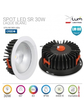 Spot encastré magasin 30W Cree Distributeur Pro