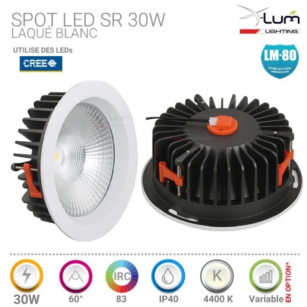 Spot encastré magasin 30W Cree Distributeur Pro