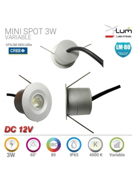 mini spot LED 3W dimmable variable 12V