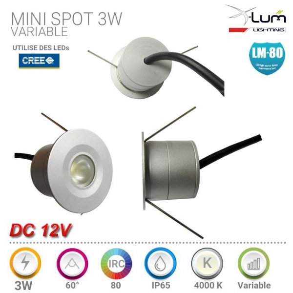 mini spot LED 3W dimmable variable 12V