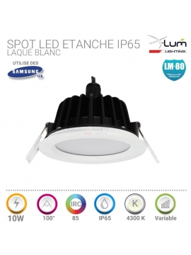 Spot LED salle de bain ip65 10W dimmable