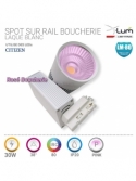 Spot 30W LED boucherie Pink