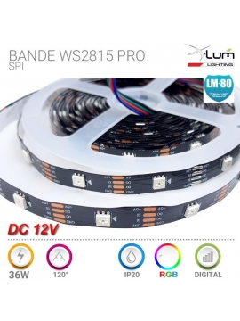 S2815B036DQ9BDN-Digit-2815-150LED-02