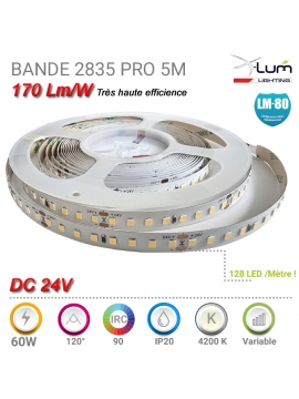 Bande LED 2835 170 Lm/W Pro CRI90 4200K 24v